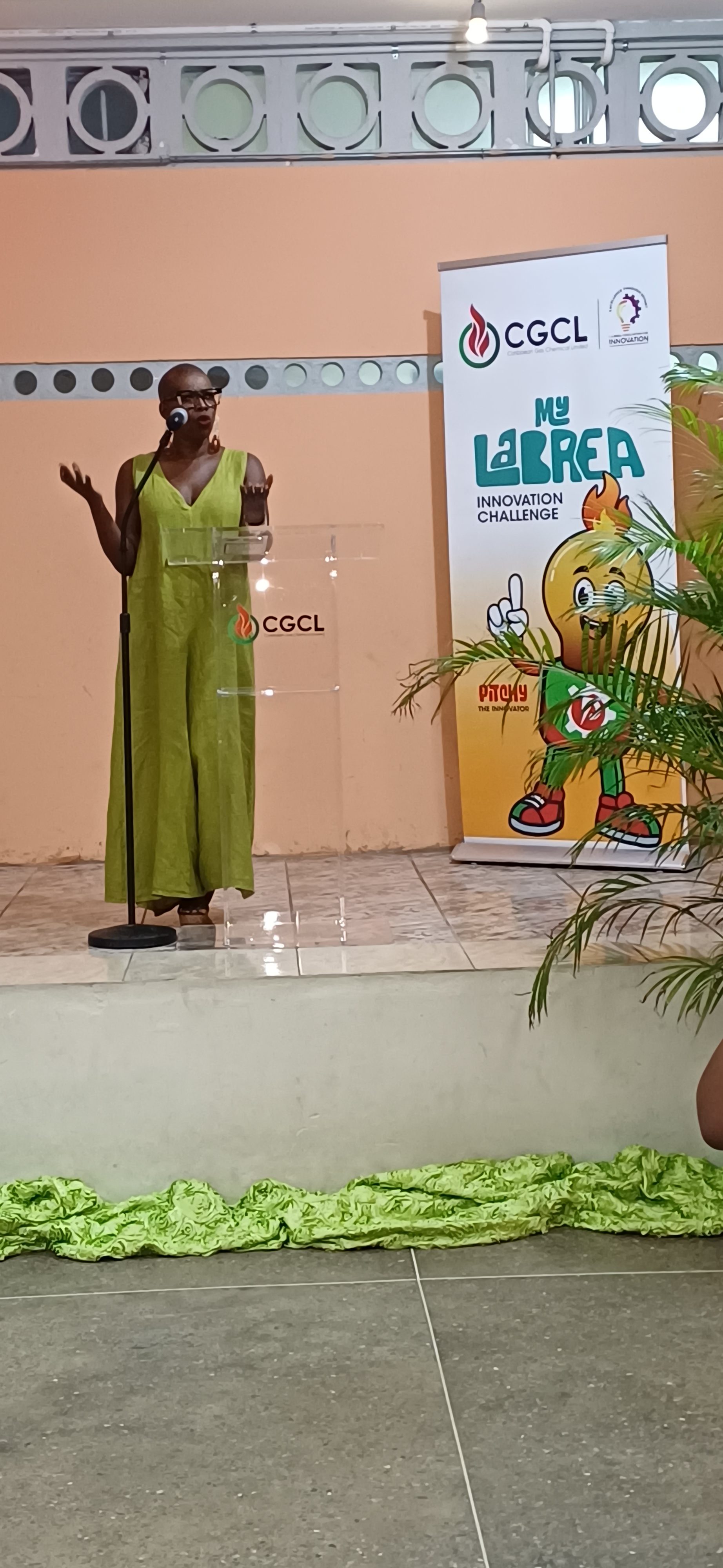 17692819822562966490697875987388