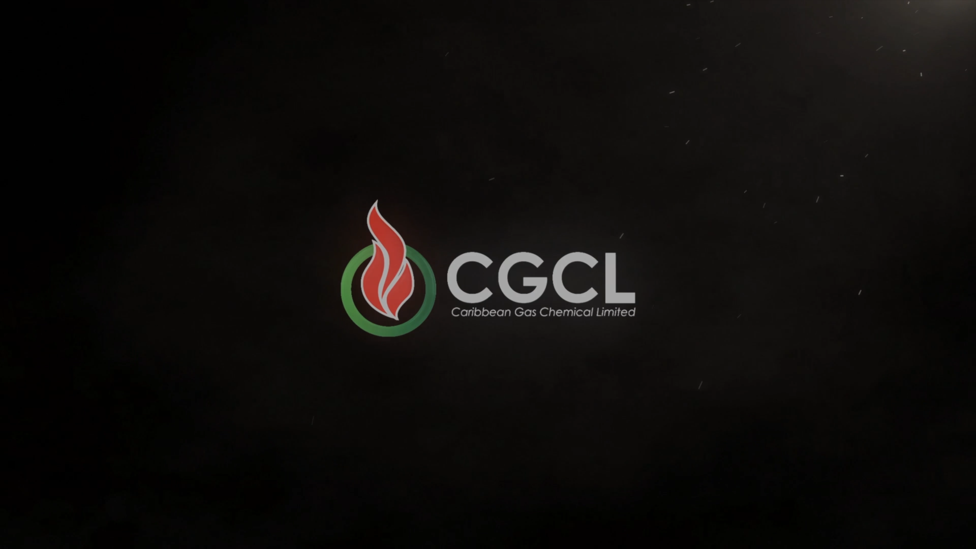 CGCL VIGNETTE 1 DRAFT