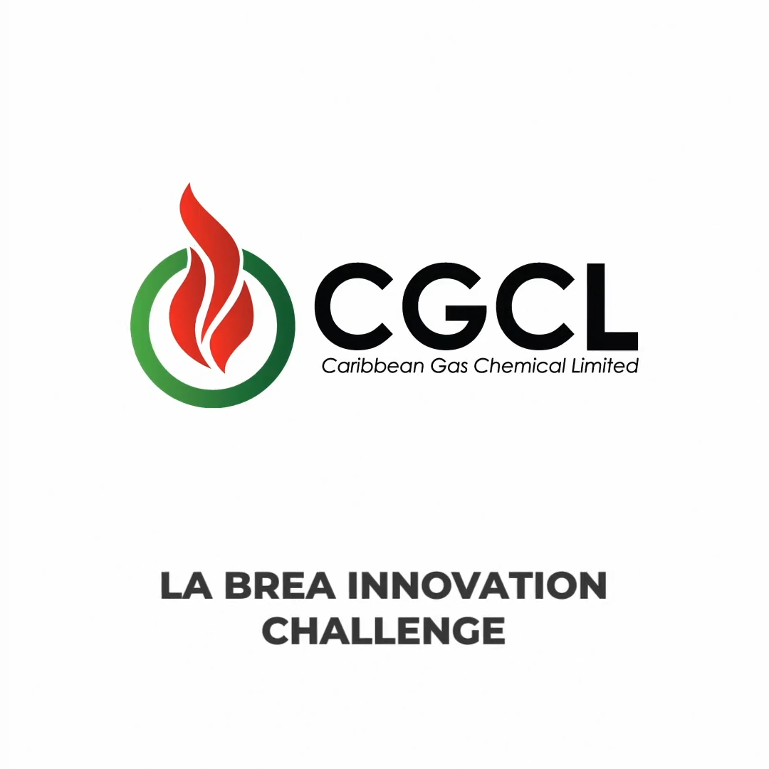 PACKAGED VBIGFORD TESTIMONY VIDEO